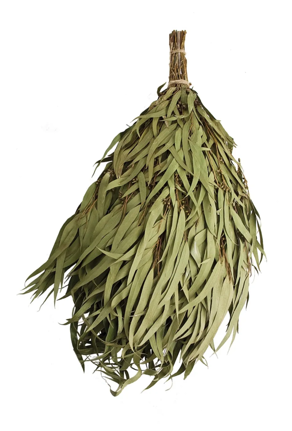 Из эвкалипта