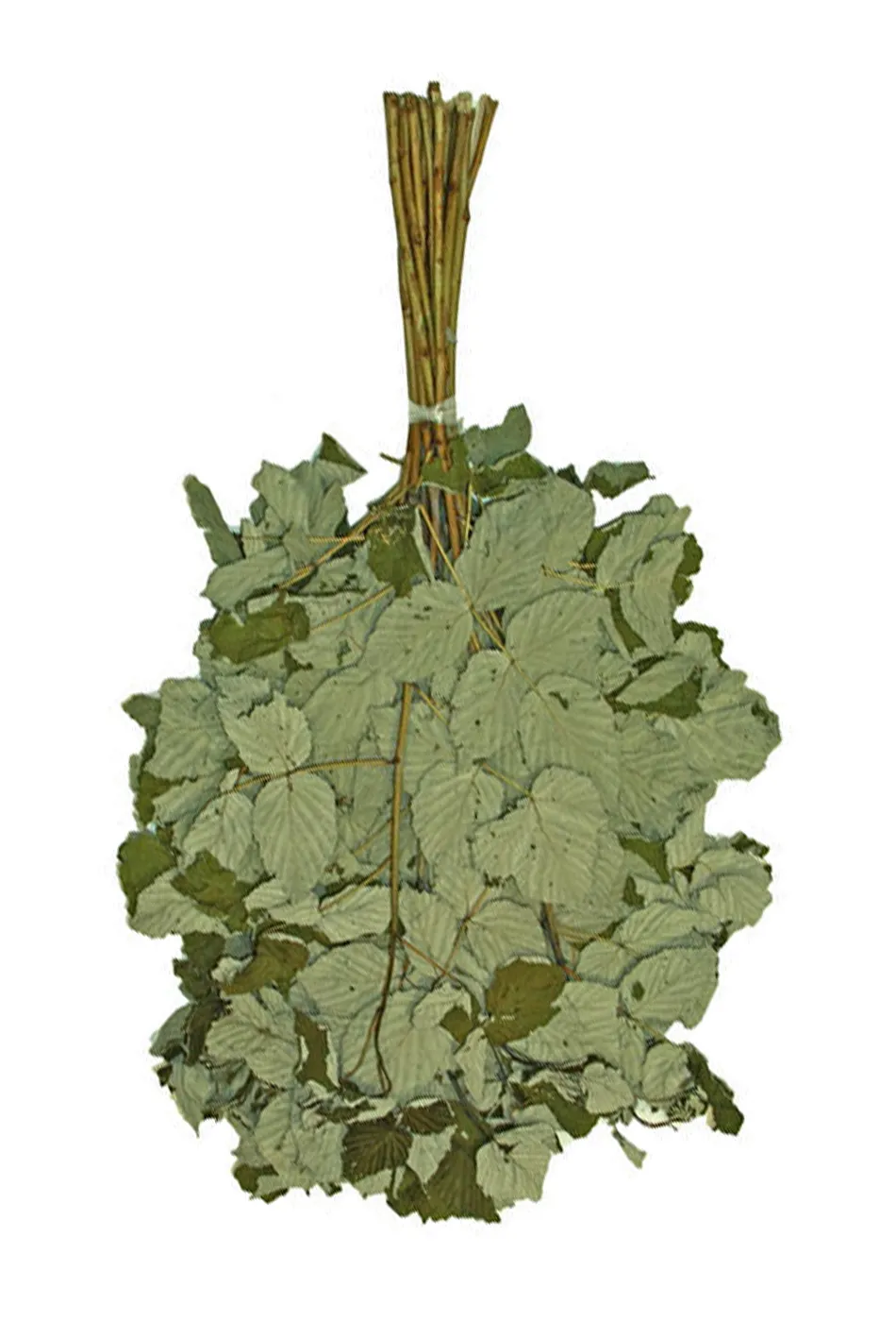 Редкие виды